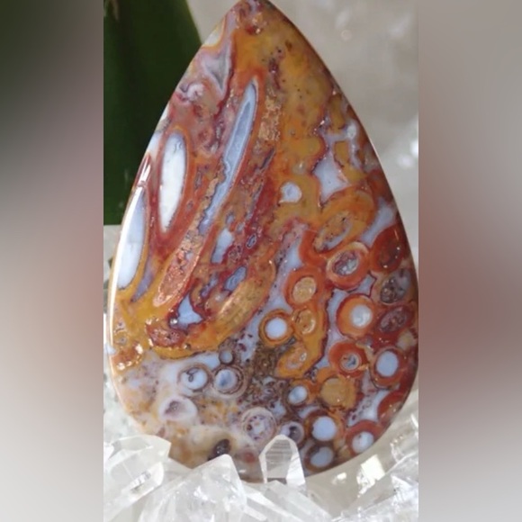 Red Palm Root Agate - Picture 2 of 6